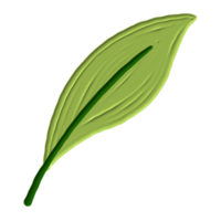 een groen blad png