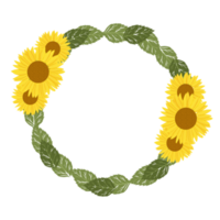 hand drawn sun flower png