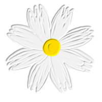 white flower painted png