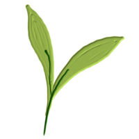 een groen blad png