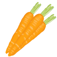 main tiré des légumes illustration png