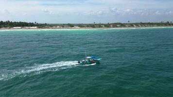 pescar excursión barco a mar tomando turistas fuera a captura pescado en el caribe video