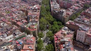 grandioso vía en Barcelona un arbolado calle en el bullicioso gótico ciudad video