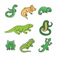 serpientes, lagartos y reptiles conjunto de ilustraciones con animales para niños. zoo. vector dibujo en dibujos animados estilo.