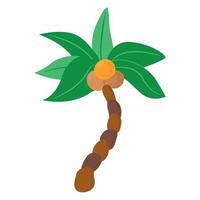 Cute hand drawn palm tree with coconuts. White background, isolate. vector