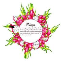 Dragon fruit tasty circle frame. Sweet dessert of tropical cactus. Exotic pitaya design. Fresh pitahaya exotic food. Pink juicy slices of vitamin vector