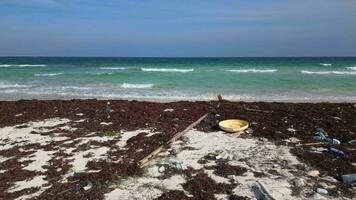 un playa ensuciado con el plastico y residuos causado por el contaminación crisis video