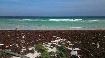 Plastique couvert plage causé par illégal dumping de déchets dans le océan video