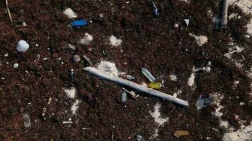 plástico coberto de praia causou de ilegal dumping do desperdício dentro a oceano video