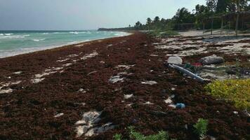 el plastico cubierto playa causado por ilegal dumping de residuos en el Oceano video
