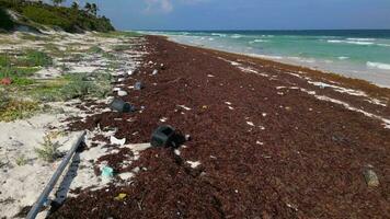 plastica rifiuto disseminato su un' spiaggia causato di dumping di plastica nel il oceano video