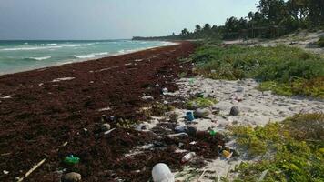 A Beach Littered with Plastic and Waste Caused by the Pollution Crisis video