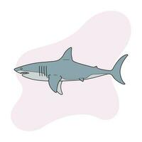 a gray shark with sharp teeth vector