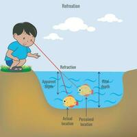 Real example of Refraction of light vector illustration