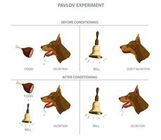 Pavlov's dog experiment showed how dogs could be conditioned to associate a neutral stimulus with a reflex response vector