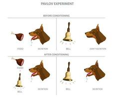 Pavlov's dog experiment showed how dogs could be conditioned to associate a neutral stimulus with a reflex response vector