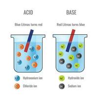 Litmus paper test of Acid and Base in Chemistry Laboratory vector