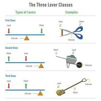 Different types of levers with examples vector illustration