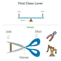 First class lever with the examples vector illustration