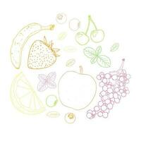 Fruit sketch art illustration circle composition vector