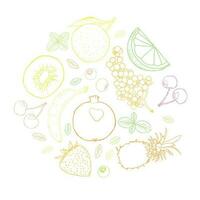 Fruit sketch art illustration circle composition vector