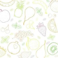 Fruit sketch art illustration square composition vector