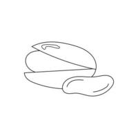 hand drawn pistachio vector illustration