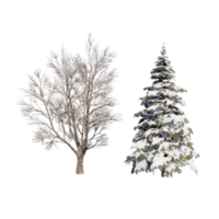 winter or autumn trees 3D render png