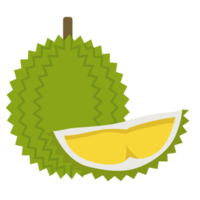 Durian in flat style png