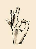 Hand drawn pencil sketches of hands gestures. Beautiful vector drawing set. Group of symbols for web and print.