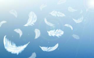 White feathers fly in air on blue sky background vector