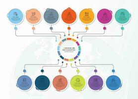 Infographic with 13 steps, process or options. vector