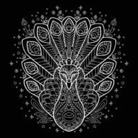 Vector coloring Peacock white on black background