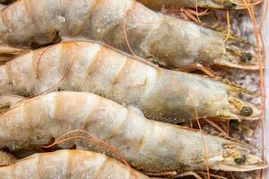 gambas crudo congelado en hielo grande camarón Mariscos gamba comida comida bocadillo pescatariano dieta en el mesa Copiar espacio comida antecedentes rústico parte superior ver ceto o paleo foto