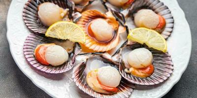 seafood scallop in shell fresh meal snack on the table copy space food background rustic top view photo