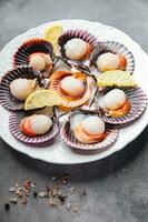 seafood scallop in shell fresh meal snack on the table copy space food background rustic top view photo