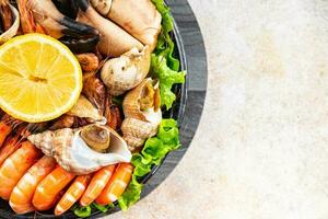 fresh seafood plate snack shrimp, crab claw, clam, rapan, trumpeter mollusk  meal food on the table copy space food background rustic top view photo