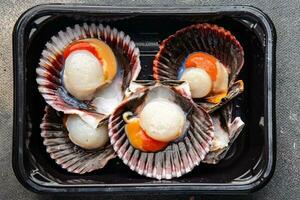 seafood scallop in shell fresh meal snack on the table copy space food background rustic top view photo