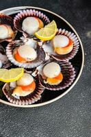 seafood scallop in shell fresh meal snack on the table copy space food background rustic top view photo