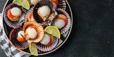 seafood scallop in shell fresh meal snack on the table copy space food background rustic top view photo