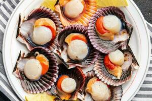 seafood scallop in shell fresh meal snack on the table copy space food background rustic top view photo