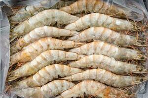 gambas raw frozen in ice big shrimp seafood prawn meal food snack pescatarian diet on the table copy space food background rustic top view keto or paleo photo