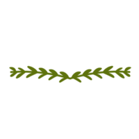 Botanical leaves illustration png