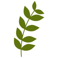 Botanical leaves illustration png