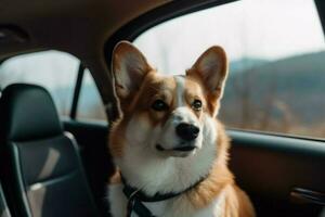 Corgi dog trip. Generate Ai photo