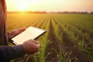 Using tablet at agriculture field. Generate Ai photo