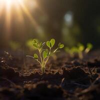 un joven planta crecimiento en suelo ai generado foto