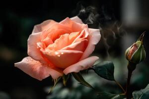 melocotón Rosa flor generativo ai foto