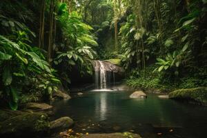 green jungle waterfall landscape photo