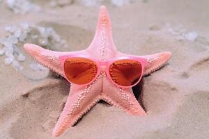 sea pink star with glasses on send summer beach photo